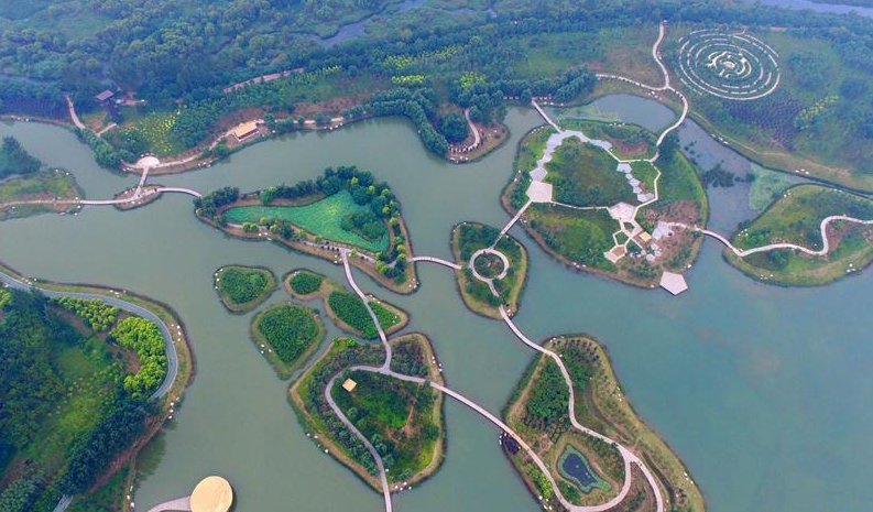 河南鹤壁淇河国家湿地公园(8月27日摄)。河南省鹤壁市淇滨区因地处淇河之滨而得名。 近年来,淇滨区依托淇河生态带打造淇河生态走廊,大力推进淇河国家湿地公园建设。眼下的淇河河水碧绿,河道蜿蜒,万木葱茏,成为市民休闲旅游的好去处。