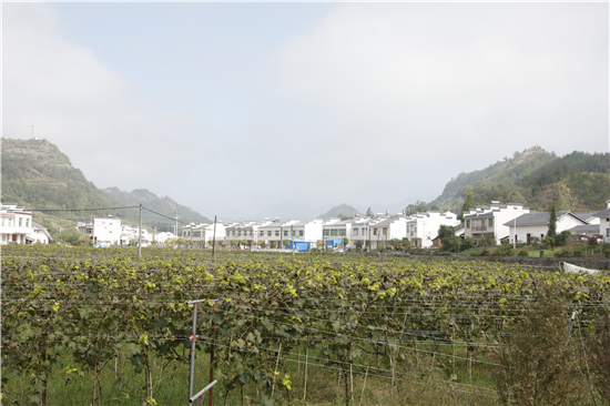 竹山擂鼓镇人口_竹山擂鼓中学教师照片(2)