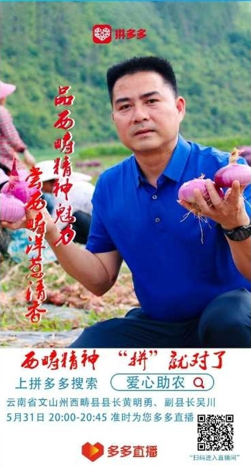 西畴县县长"直播带货"啦!抢先看预告!买它!