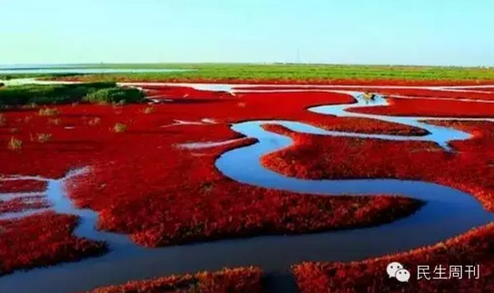 辽宁盘锦红海滩