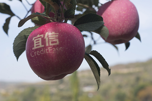 宜信普惠金融实践:从培训借款开始 解农户燃眉