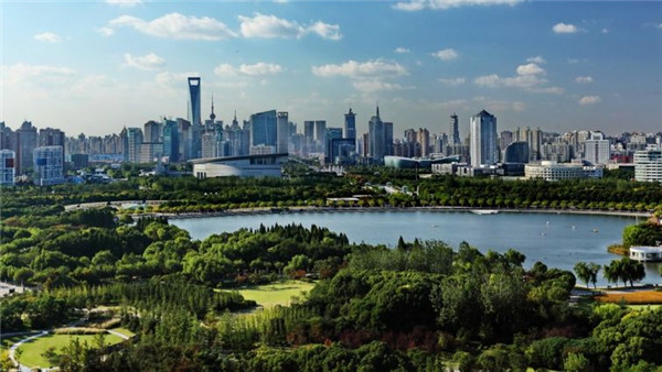 上海世纪公园相亲角