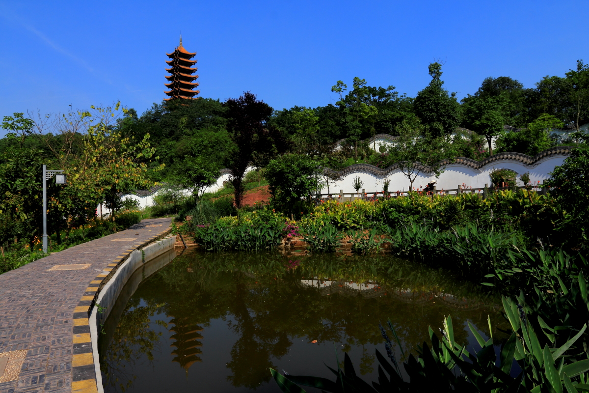 重庆照母山森林公园 ---"近自然"生态理念营造城市森林风景