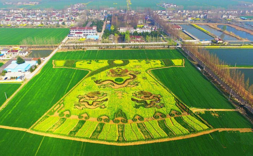 南京过年人口_南京人口密度分布图(3)
