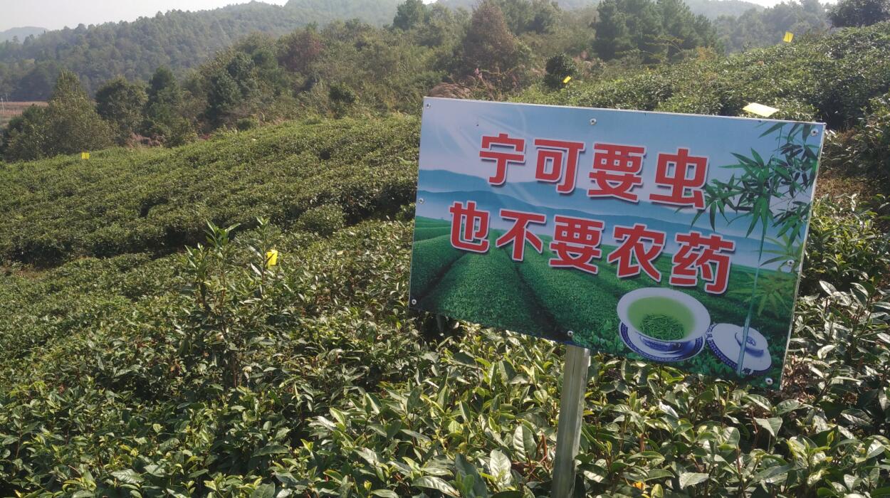各项精彩节目上演,各道茶艺展现了瓮安的茶文化和旅游文化; 在猴场