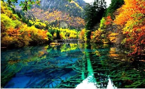 金台榜 <wbr>| <wbr>17省市被雾“埋”,换个地方清清肺 \