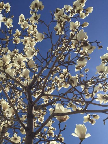 微信图片_20170329165001