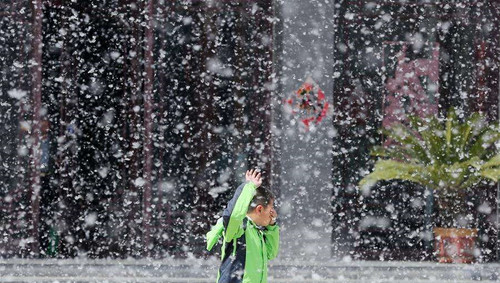 期待尽早治理好“春日飞雪”