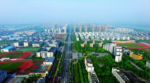 浙江省衢江城区391亩荒地变绿洲