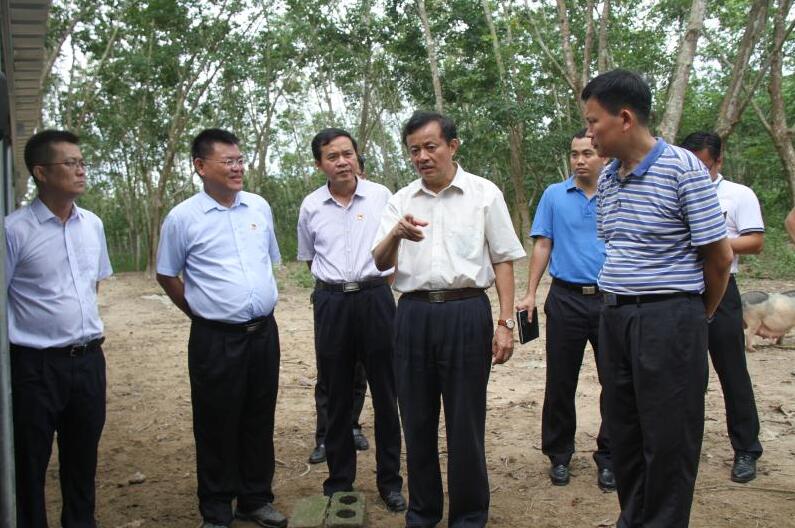 海南省乐东县委书记吴川祝(中)实地调研脱贫攻坚