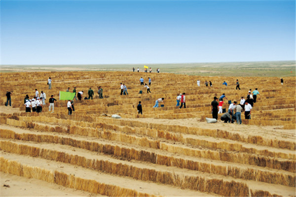 防治沙漠化看中国智慧的内蒙古实践