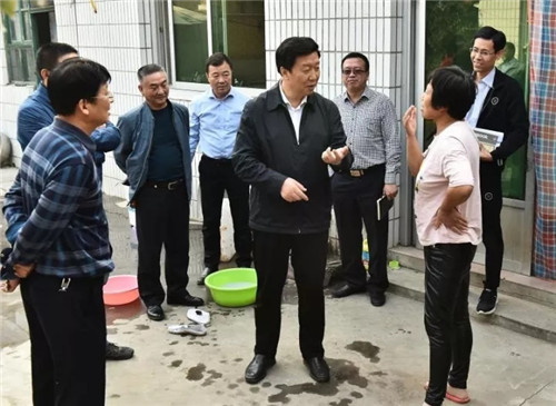 刘宝玲在雄安新区调研.刘向阳摄
