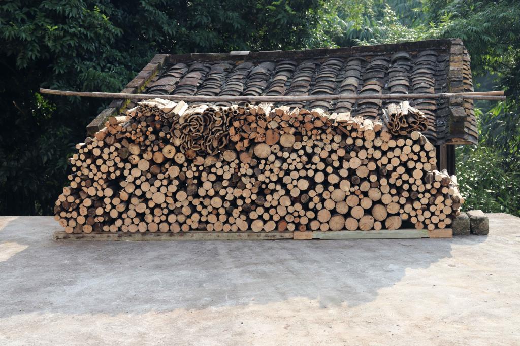 房前屋后堆放整齐的桂木.郁南县委宣传部供图