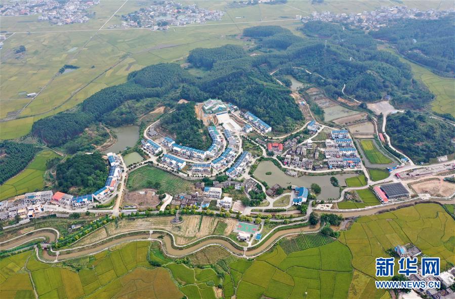 广西宾阳：乡村秋景美-民生网-人民日报社《民生周刊》杂志官网