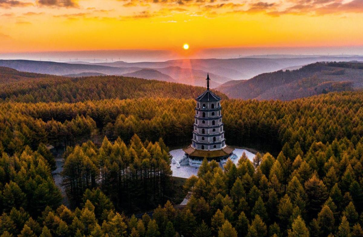 镜头秋景如画塞罕坝