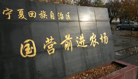 宁夏一个国营农场的头号难题