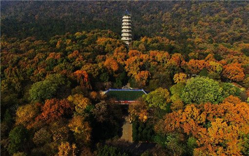 俯瞰南京紫金山最后的秋景迷人依旧