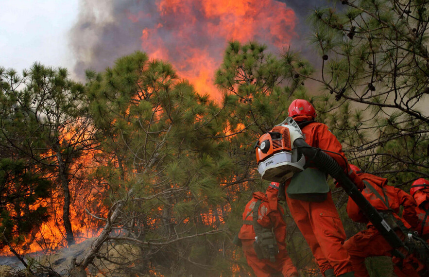 3月19日,四川省凉山州冕宁县泸沽镇王家祠村七组发生森林火灾.