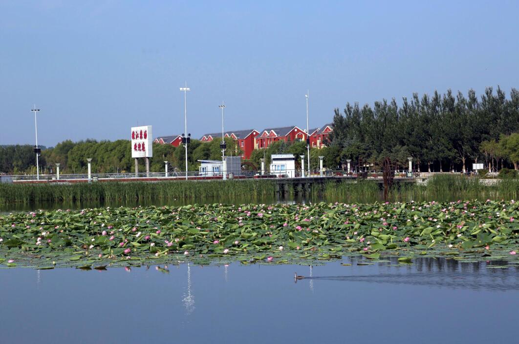 2016年,嫩江农场将进一步延伸"滨水城镇&middot;魅力嫩江"特色旅游