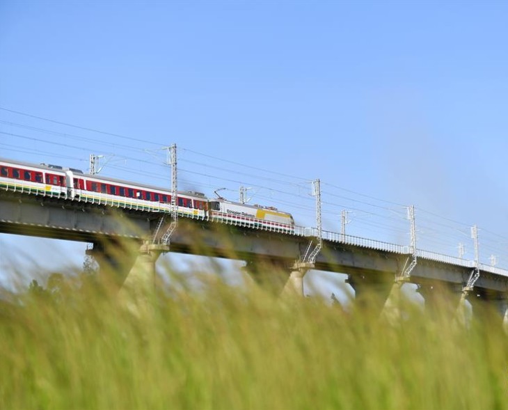 中国非洲高铁图片