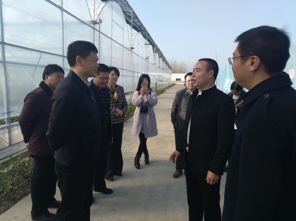 市长庄光明(左2)听取天海龙现代农业产业园董事长彭文平(右2)汇报园区