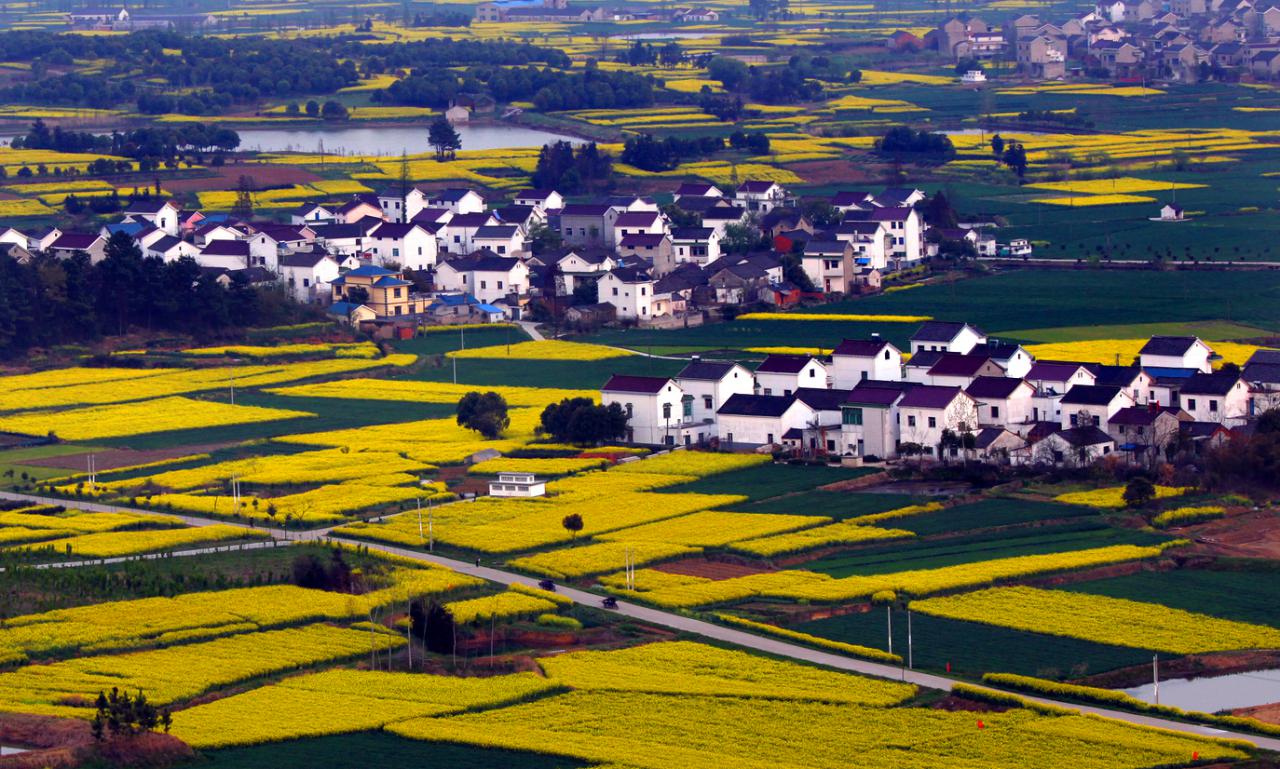 南京市高淳区绿水青山就是金山银山